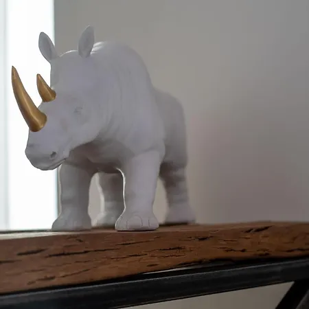 Coco By Agm فيلة *