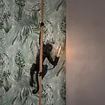 Coco By Agm Puerto del Carmen (Lanzarote)