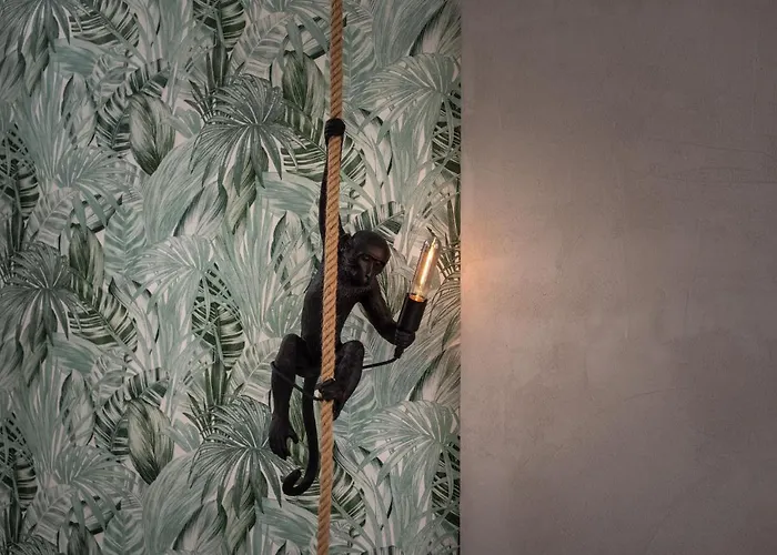 Coco By Agm Puerto del Carmen (Lanzarote)